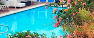 mantenimiento de la casa