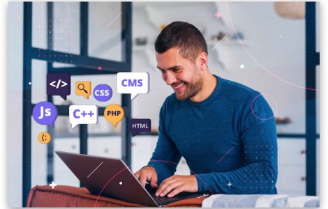 Programador WordPress