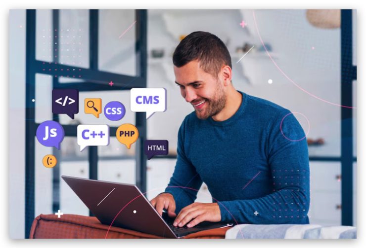 Programador WordPress